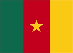 [ai] The national flag of Cameroon, featuring three vertical stripes in green, red, and yellow, with a five-pointed yellow star in the center of the red stripe.